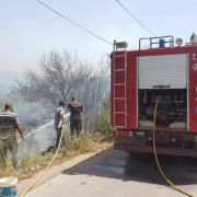 حريق أشجار في معاد - جبيل