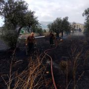 حريق أعشاب و أشجار في بيت البايع - زغرتا